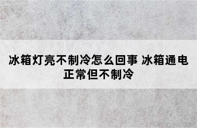 冰箱灯亮不制冷怎么回事 冰箱通电正常但不制冷